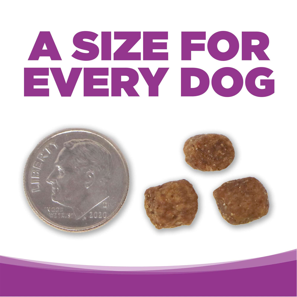 NutriSource Large Breed Puppy Chicken &amp; Rice Dog Food