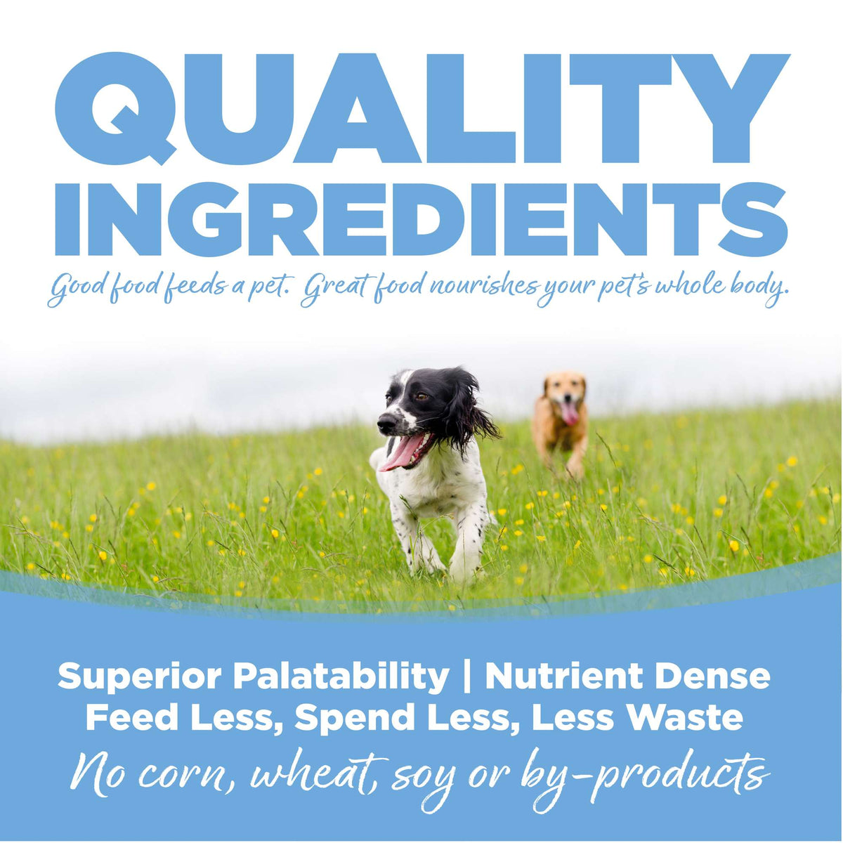 NutriSource Large Breed Trout &amp; Rice with Wholesome Grains Dog Food