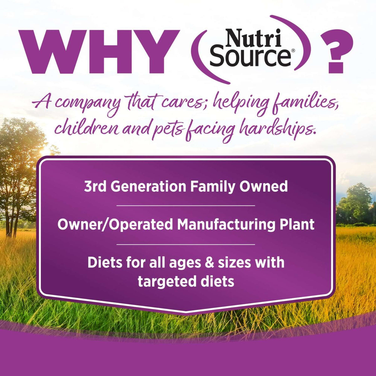 NutriSource Puppy Chicken &amp; Rice with Wholesome Grains Canned Dog Food