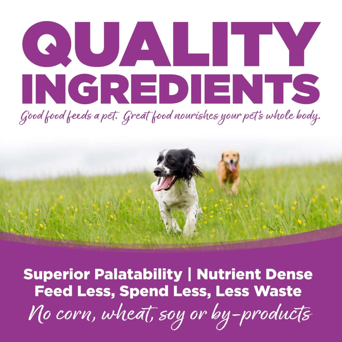 NutriSource Puppy Chicken &amp; Rice with Wholesome Grains Canned Dog Food