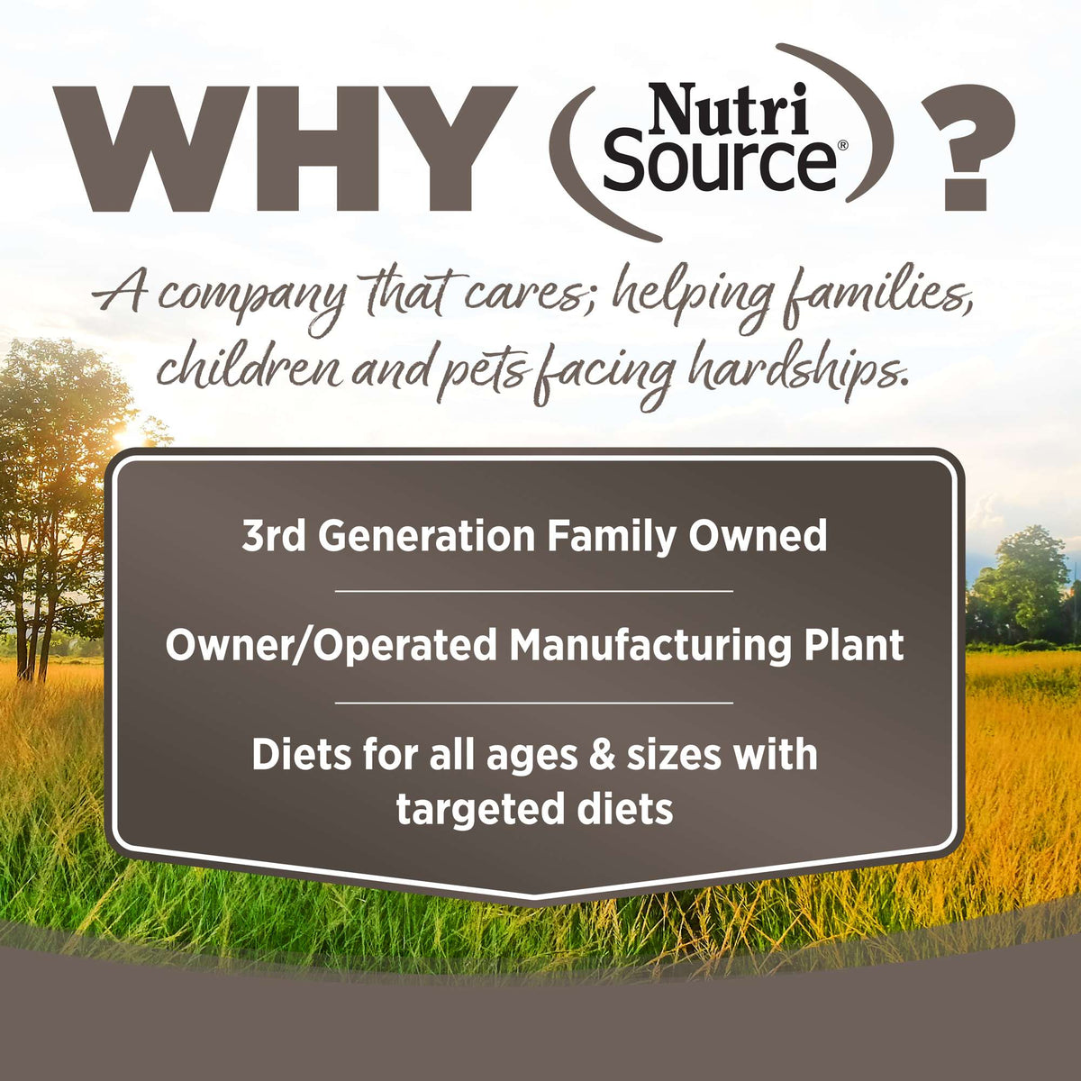 NutriSource Senior Chicken &amp; Rice with Wholesome Grains Canned Dog Food