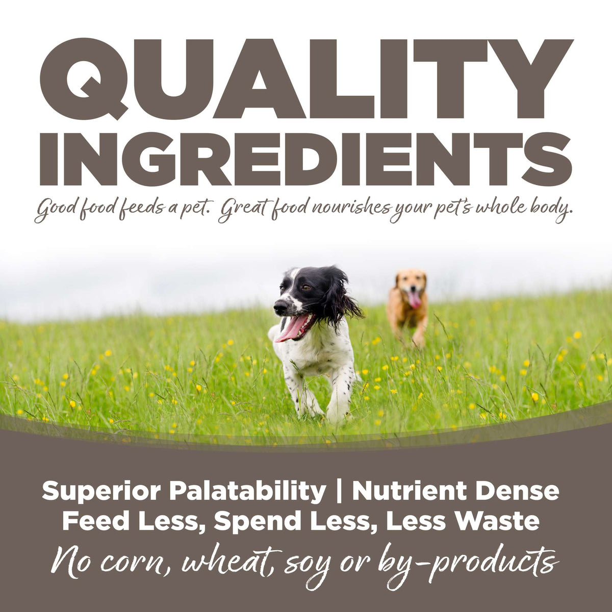 NutriSource Senior Chicken &amp; Rice with Wholesome Grains Canned Dog Food