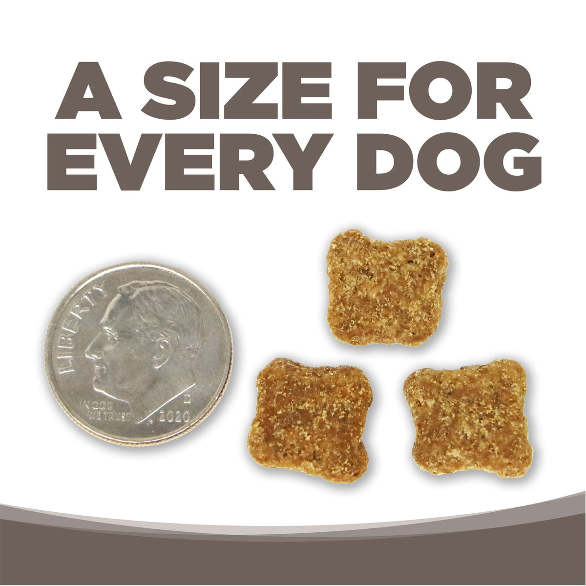 NutriSource Senior Chicken &amp; Rice with Wholesome Grains Dog Food