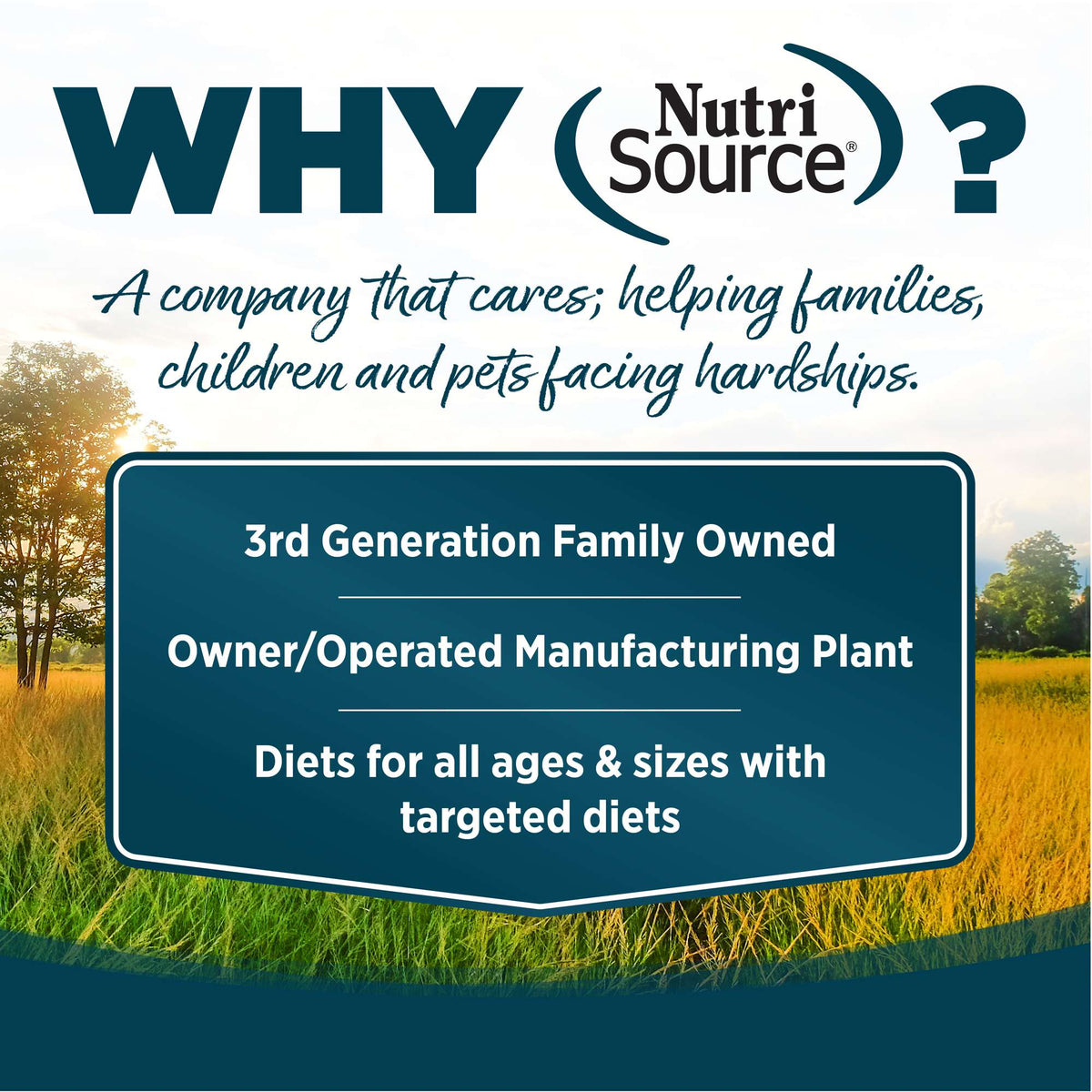 NutriSource Small Bites Adult Chicken &amp; Rice with Wholesome Grains Dog Food
