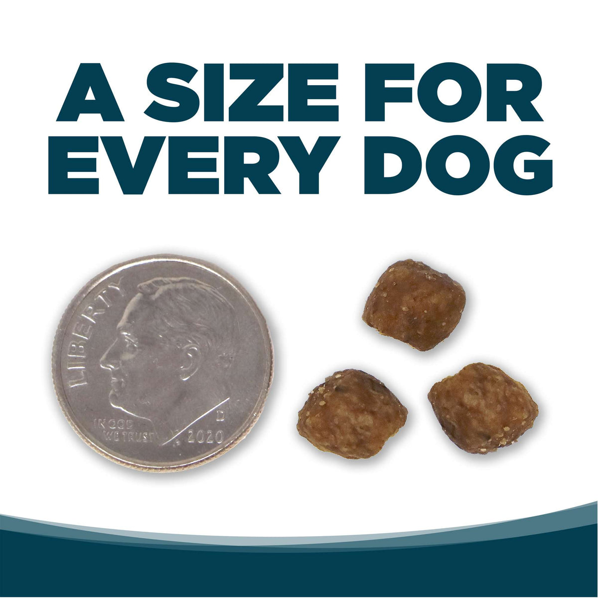 NutriSource Small Bites Adult Chicken &amp; Rice with Wholesome Grains Dog Food