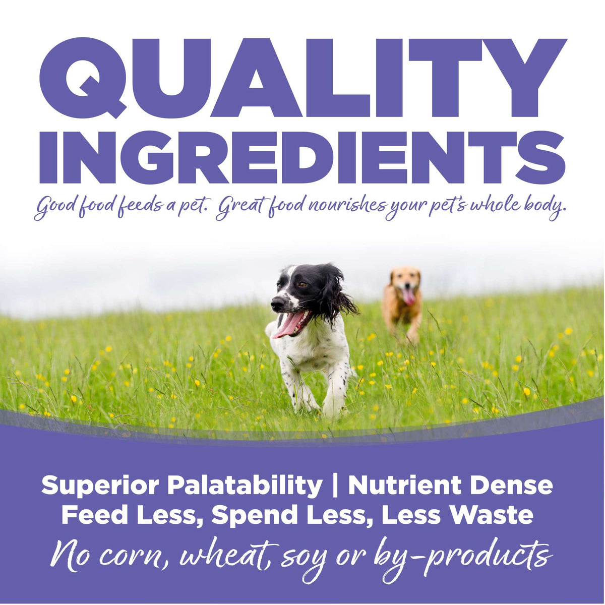 NutriSource Small &amp; Medium Breed Puppy Chicken Meal &amp; Rice with Wholesome Grains Dog Food
