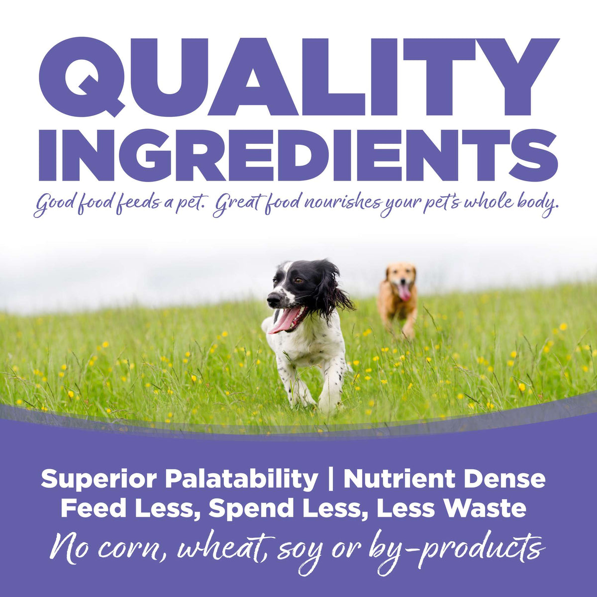 NutriSource Small &amp; Medium Breed Puppy Chicken &amp; Rice with Wholesome Grains Canned Dog Food