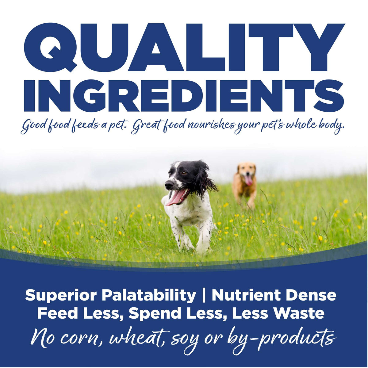NutriSource Trout &amp; Rice with Wholesome Grains Dog Food