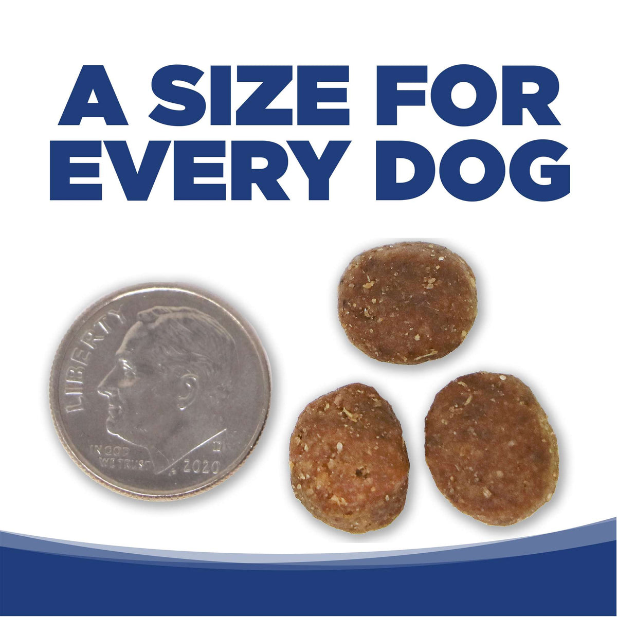 NutriSource Trout &amp; Rice with Wholesome Grains Dog Food
