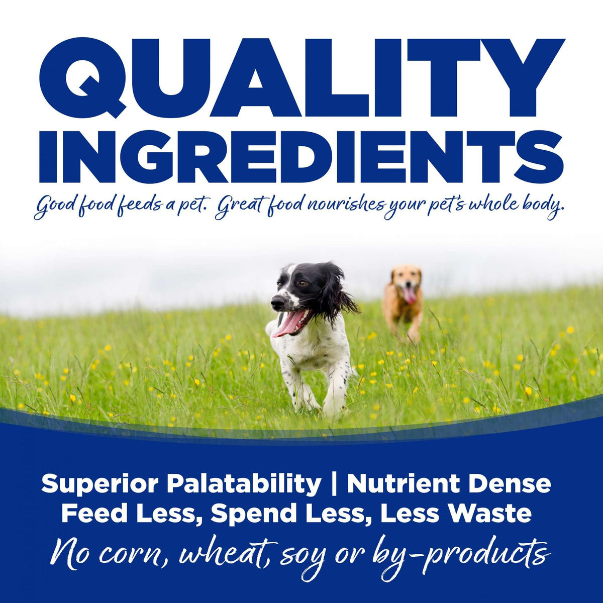 NutriSource Trout &amp; Rice with Wholesome Grains Canned Dog Food