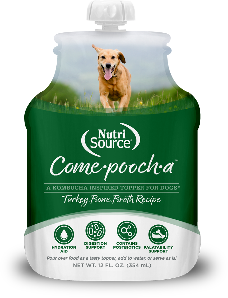 NutriSource Come-Pooch-a Turkey Bone Broth for Dogs