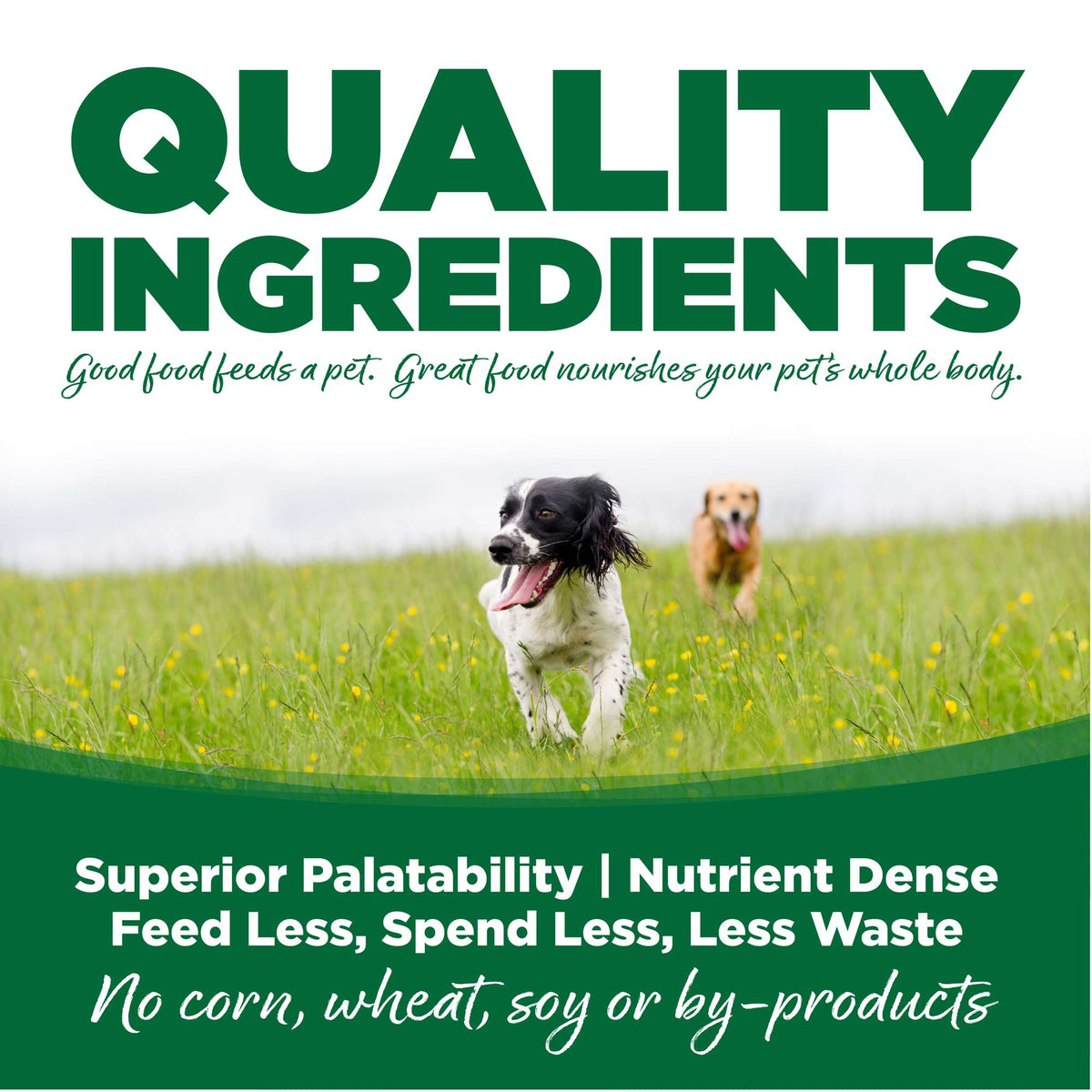 NutriSource Turkey &amp; Rice with Wholesome Grains Dog Food