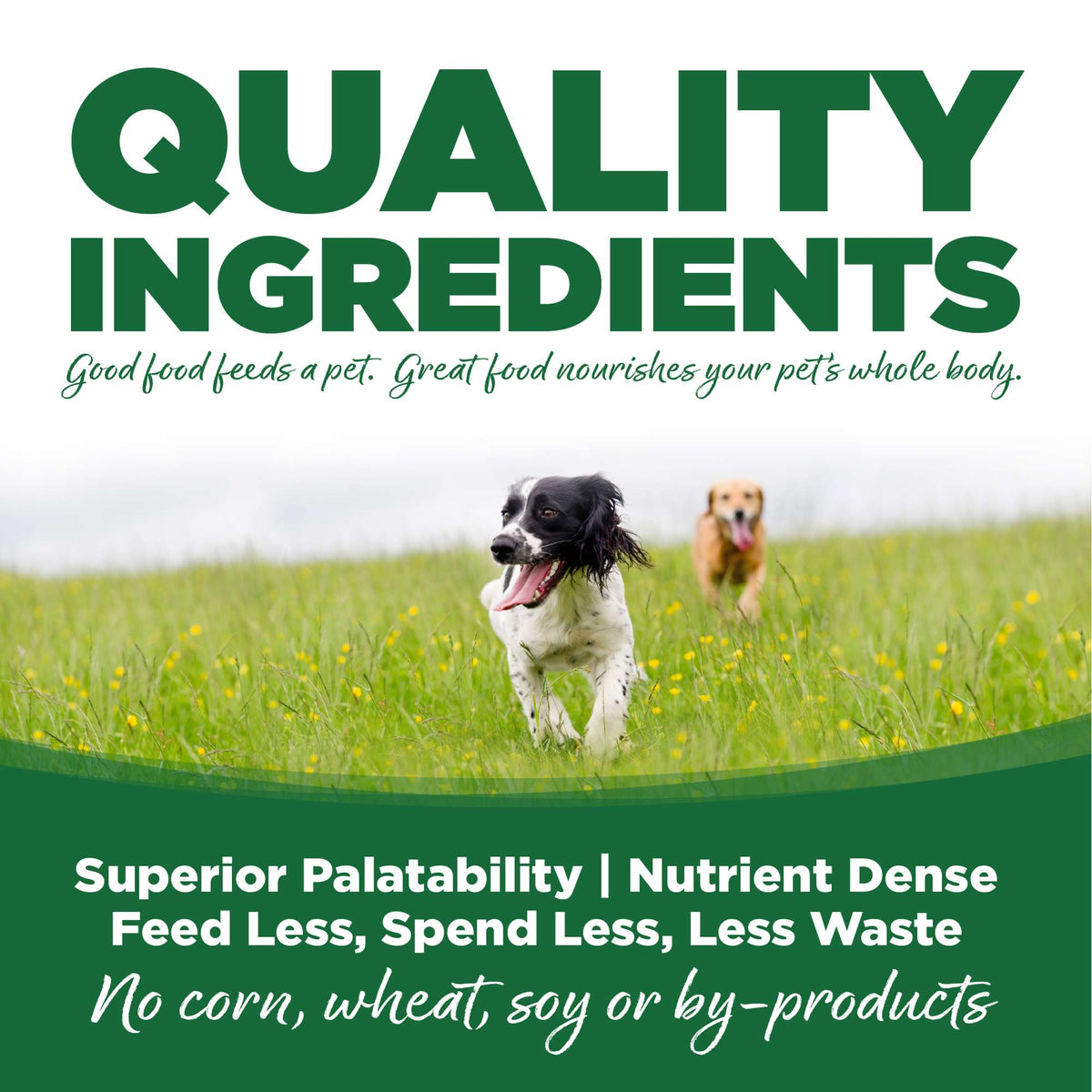 NutriSource Turkey &amp; Rice with Wholesome Grains Canned Dog Food