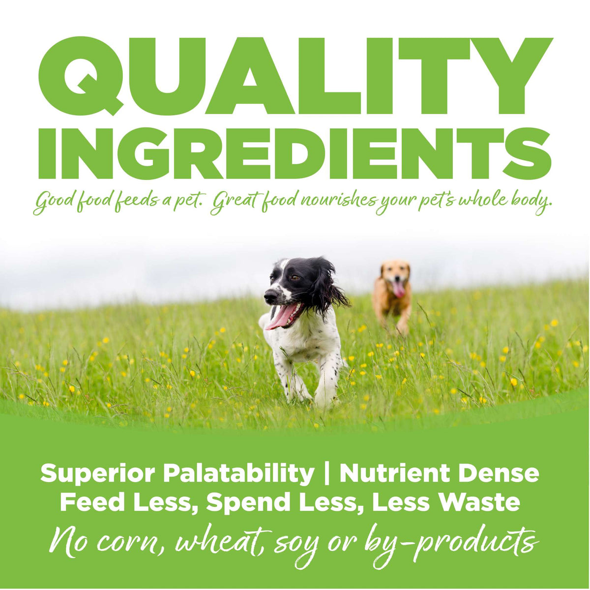 NutriSource Weight Management Chicken &amp; Chicken Meal with Wholesome Grains Dog Food