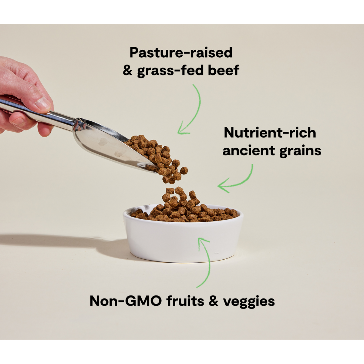 Open Farm Grass-Fed Beef &amp; Ancient Grains Dog Food