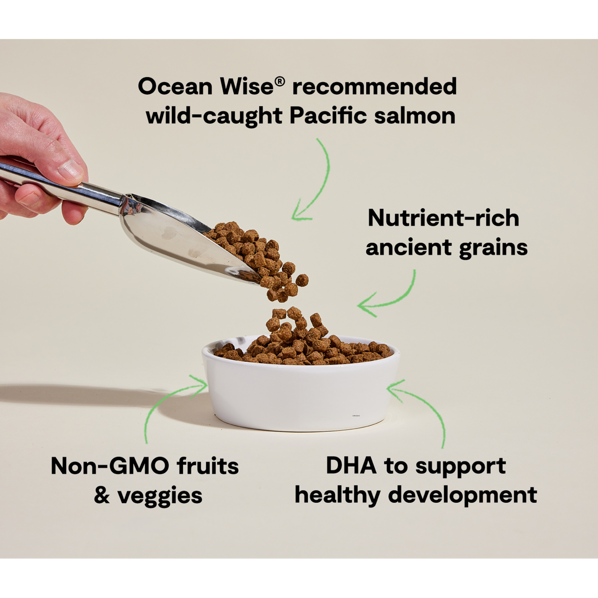 Open Farm Salmon &amp; Ancient Grains Puppy Dog Food