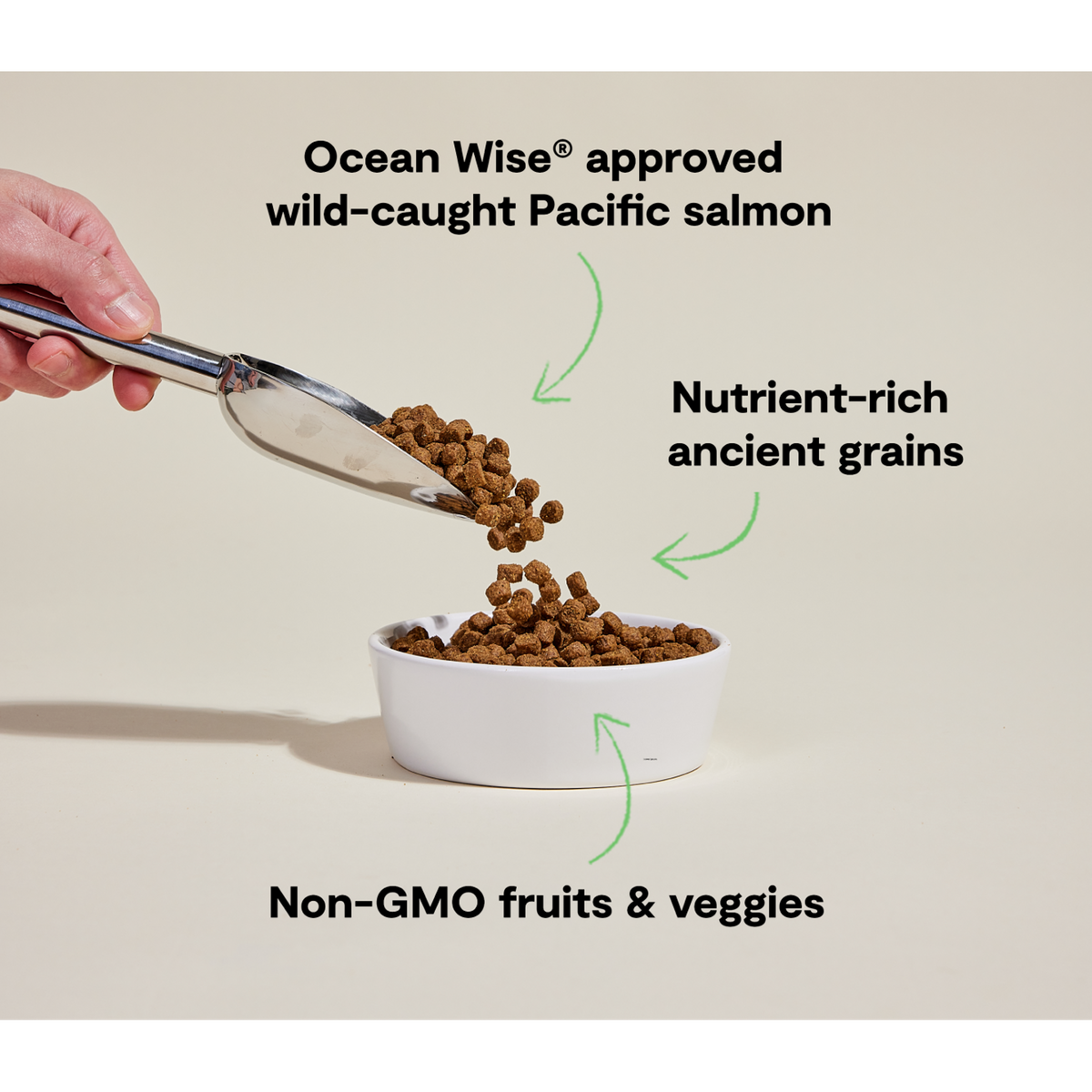 Open Farm Wild Caught Salmon &amp; Ancient Grains Dog Food