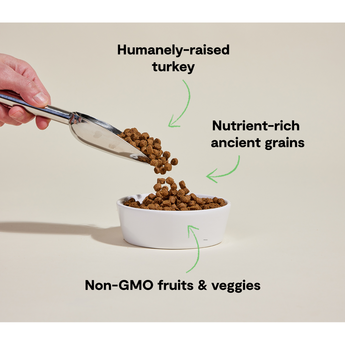 Open Farm Homestead Turkey &amp; Ancient Grains Dog Food