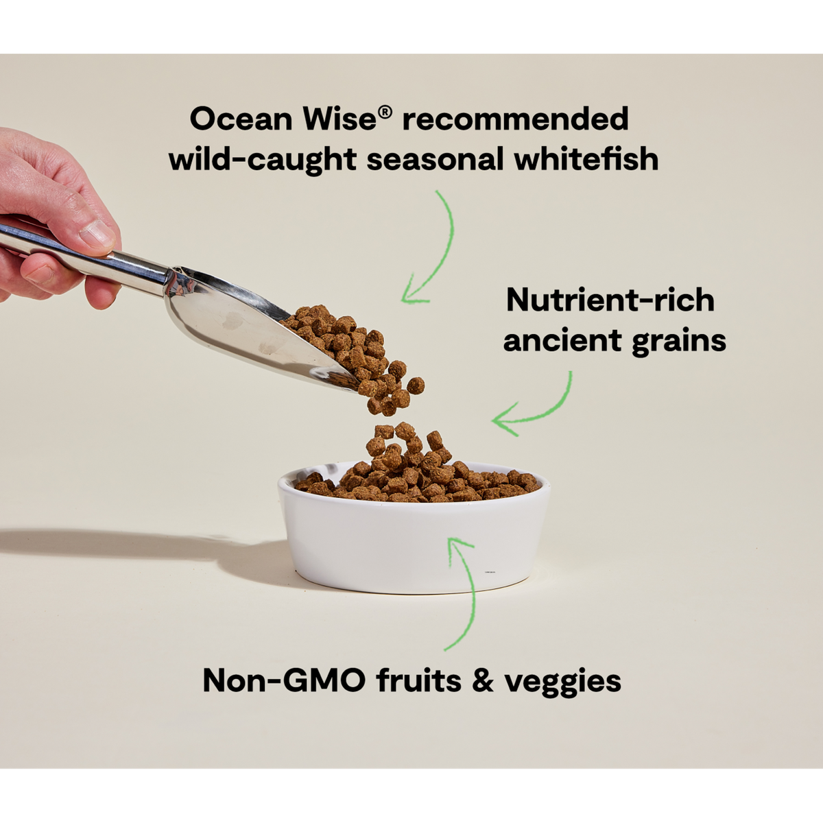 Open Farm Catch of the Season Whitefish &amp; Ancient Grains Dog Food