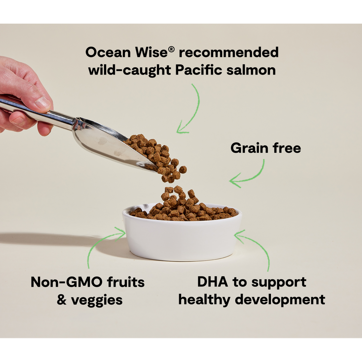 Open Farm Grain Free Salmon &amp; Sweet Potato Puppy Dog Food