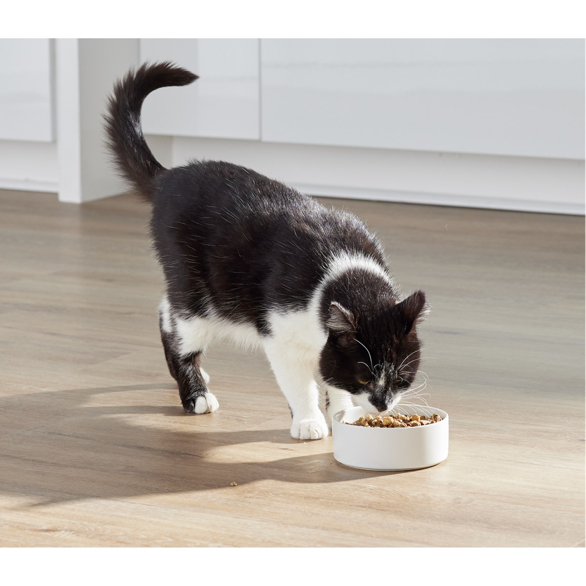 Open Farm RawMix Grain Free Kitten Cat Food