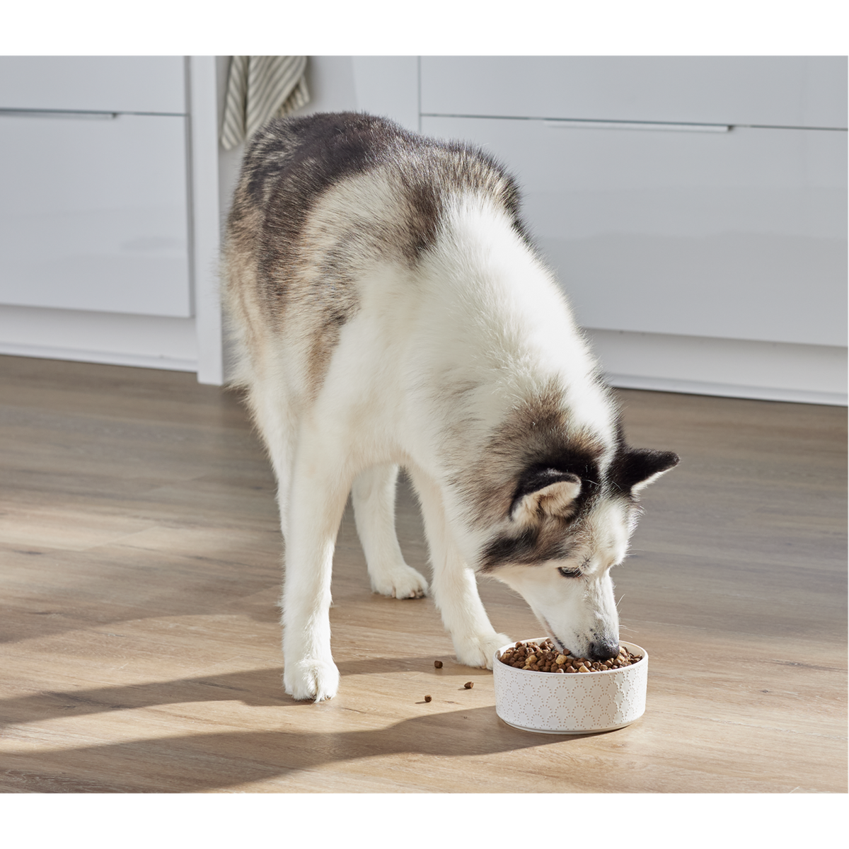 Open Farm RawMix Ancient Grains Tide &amp; Terrain Dog Food