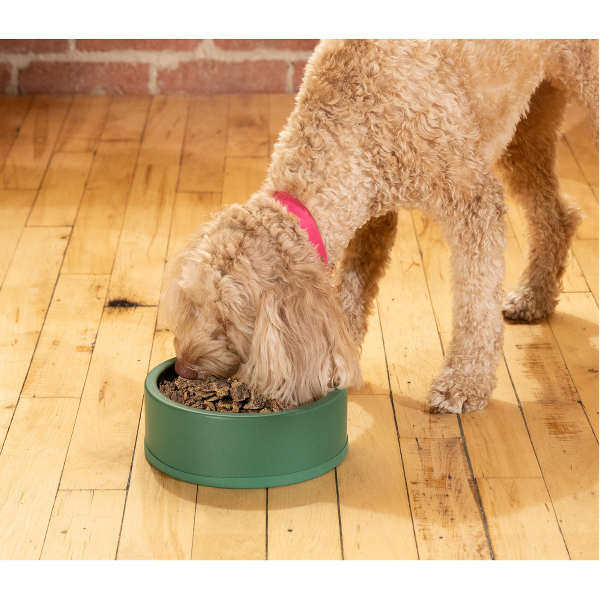 Open Farm Grain Free Air-Dried Chicken Dog Food