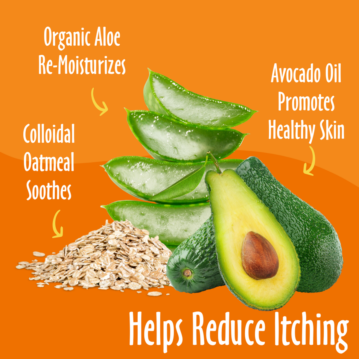 Earthbath Dog Oatmeal & Aloe Grooming Wipes Vanilla & Almond