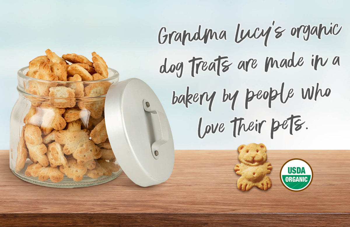 Grandma Lucy's Organic Oven-Baked Pumpkin Recipe Dog Treats