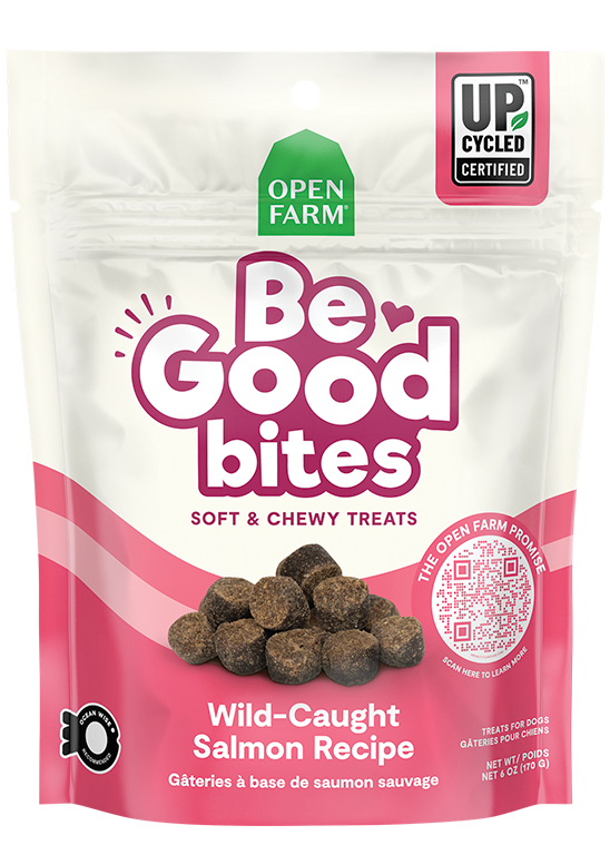 Open Farm Be Good Bites Soft &amp; Chewy Wild Caught Salmon Dog Treats