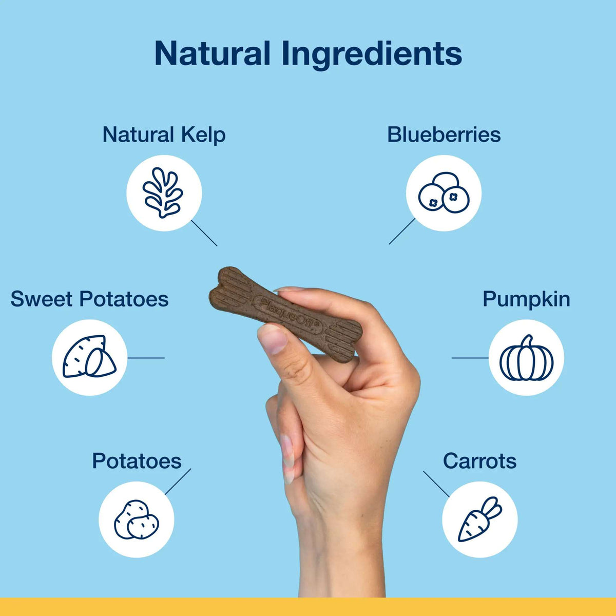 ProDen PlaqueOff Mini Dental Care Bone Vegetable & Blueberry Fusion Dog Chews