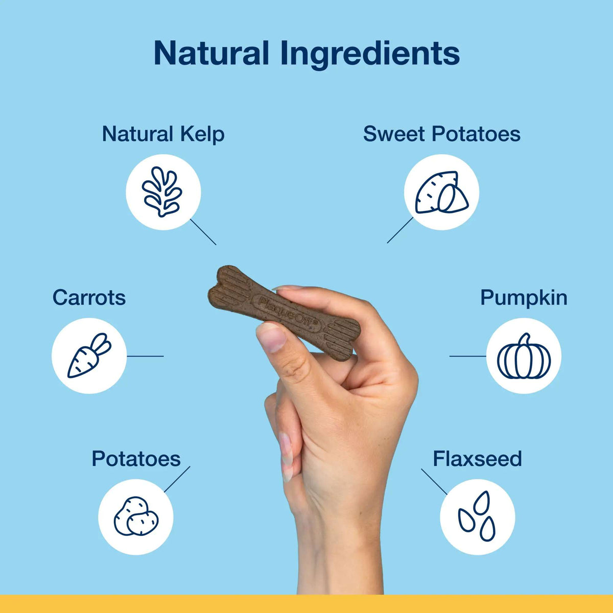 ProDen PlaqueOff Mini Dental Care Bone Vegetable Fusion Dog Chews