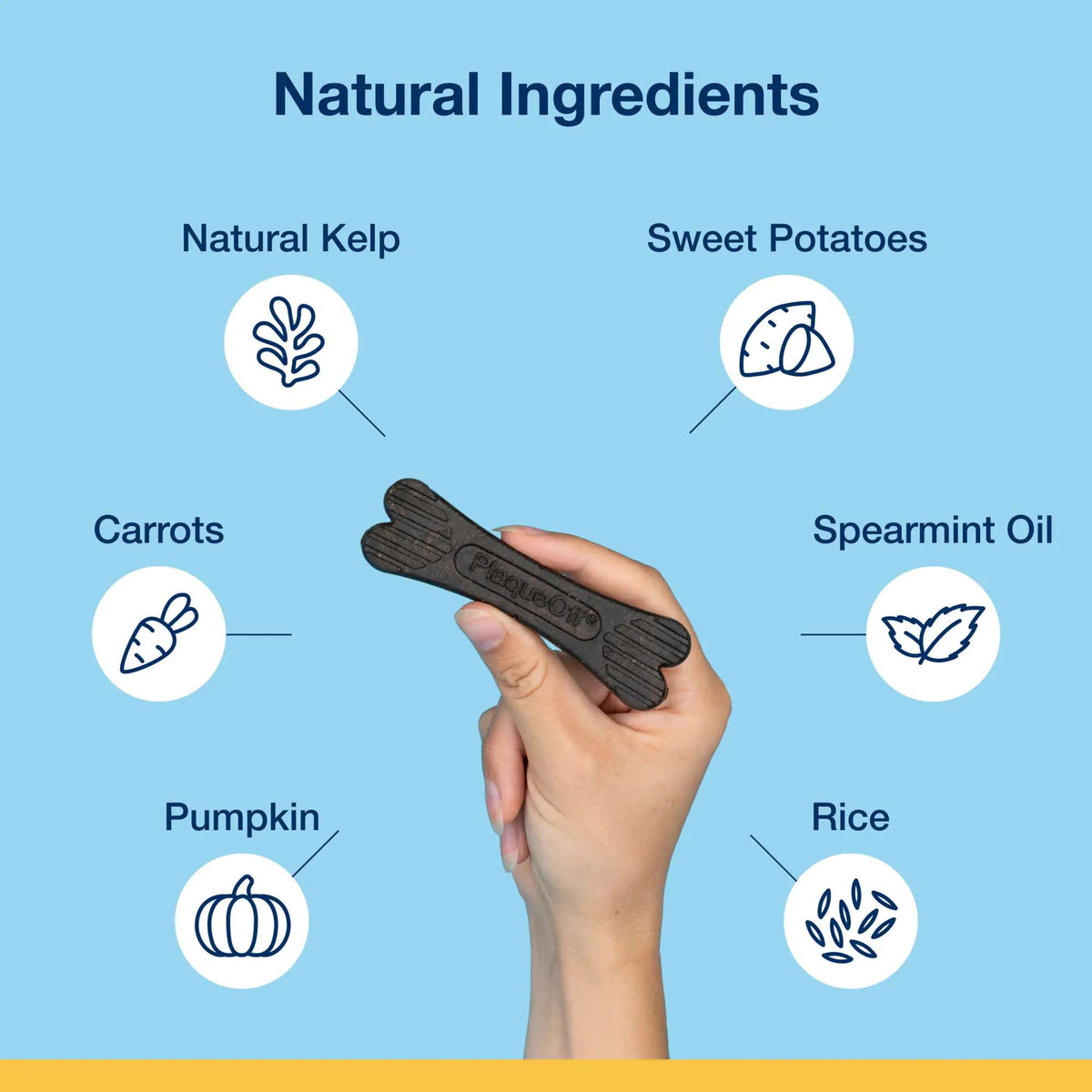 ProDen Plaque Off Mint Fusion Dental Care Bones Dog Chews