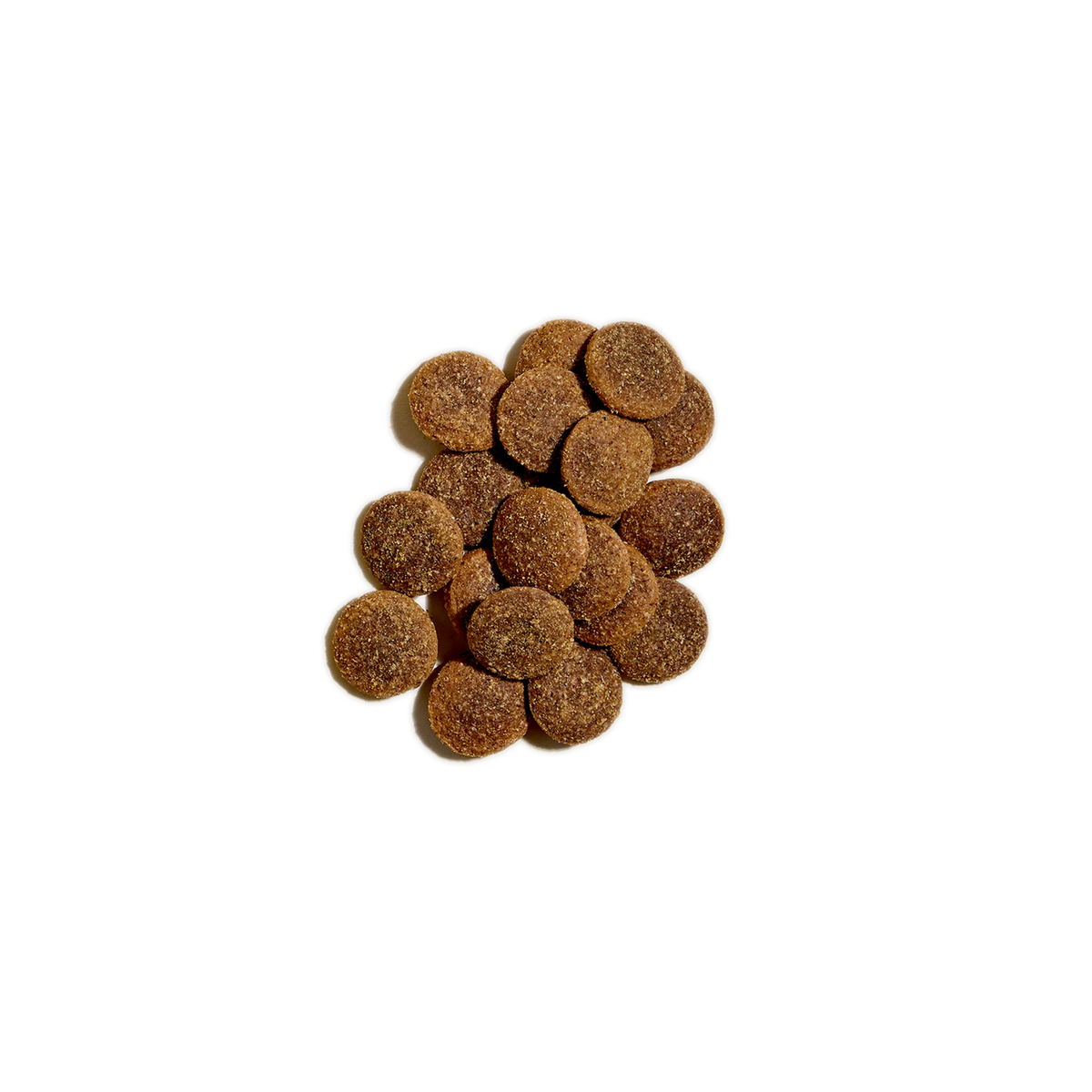 Open Farm Oven-Baked Better Biscuits Wild-Caught Salmon &amp; Oatmeal Dog Treats