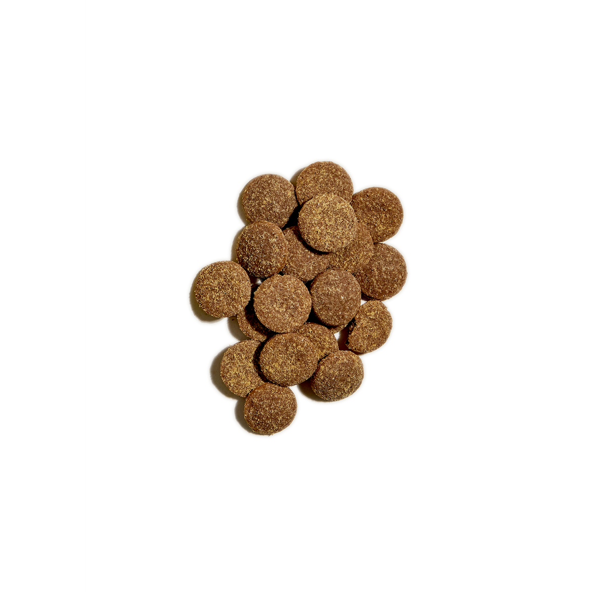 Open Farm Oven-Baked Better Biscuits Turkey &amp; Oatmeal Dog Treats