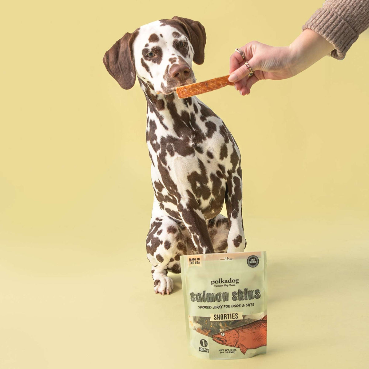 Polkadog Bakery Salmon Skins Smoked Jerky Dog &amp; Cat Treats