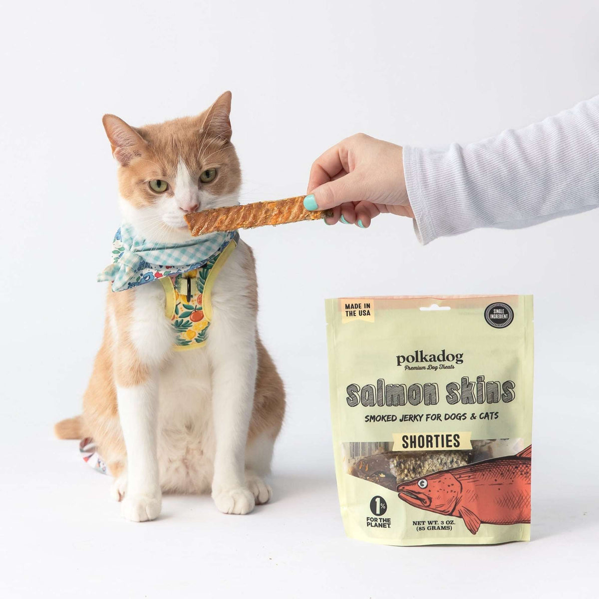 Polkadog Bakery Salmon Skins Smoked Jerky Dog &amp; Cat Treats