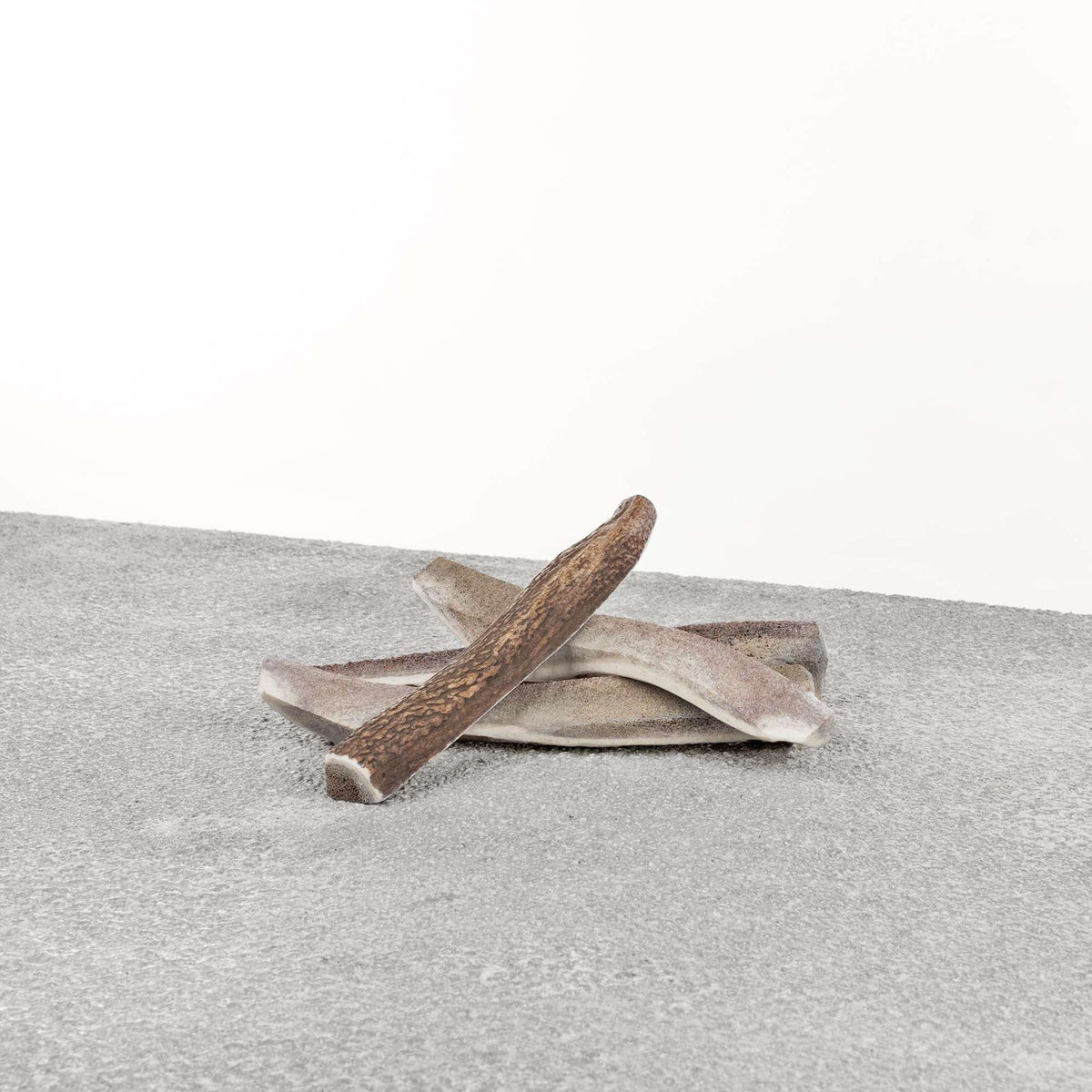 Primal Stag Antler Dog Chew