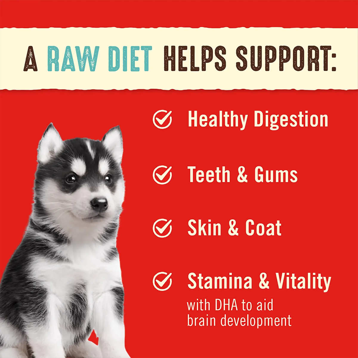 Stella &amp; Chewy&#39;s Freeze-Dried Raw Perfectly Puppy Beef &amp; Salmon Dinner Patties Dog Food