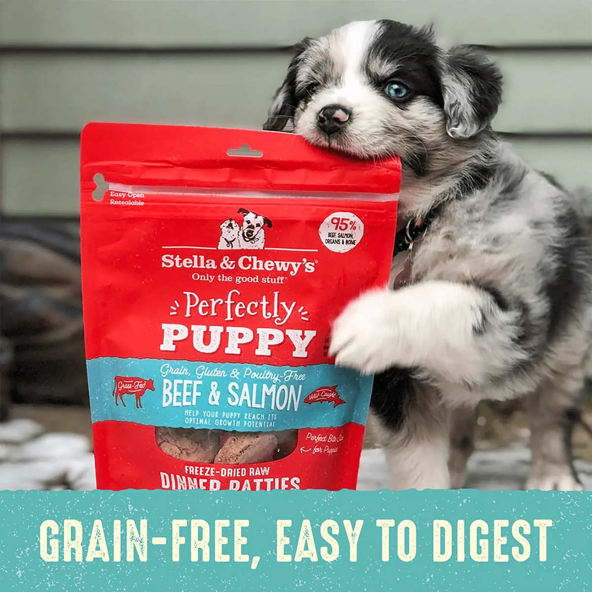 Stella &amp; Chewy&#39;s Freeze-Dried Raw Perfectly Puppy Beef &amp; Salmon Dinner Patties Dog Food