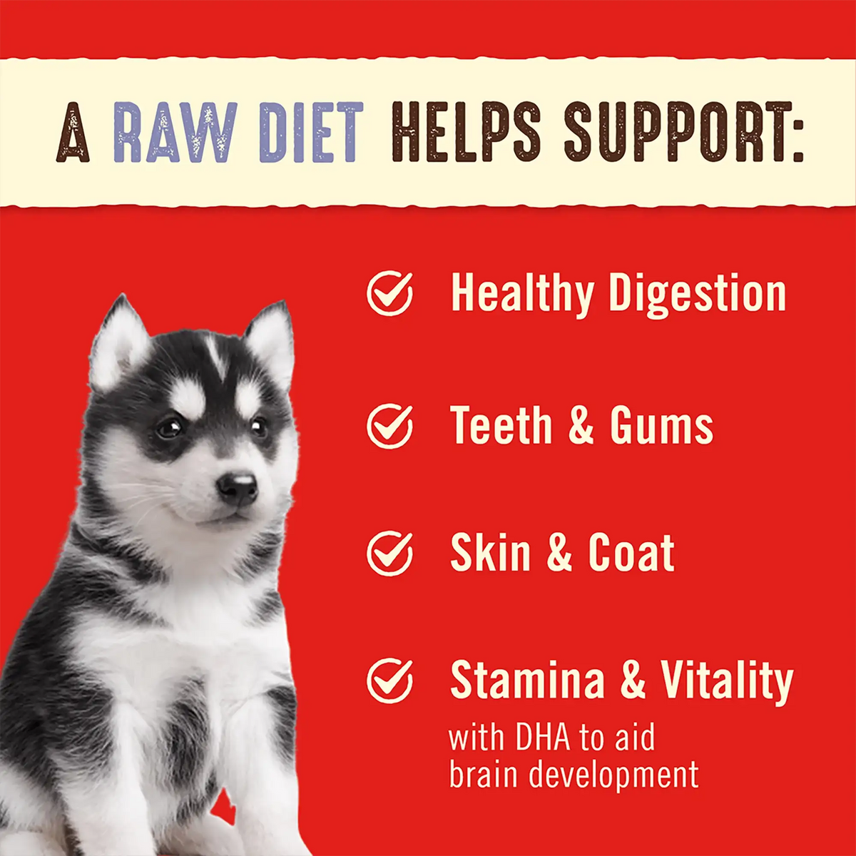 Stella &amp; Chewy&#39;s Freeze-Dried Raw Perfectly Puppy Chicken &amp; Salmon Dinner Patties Dog Food