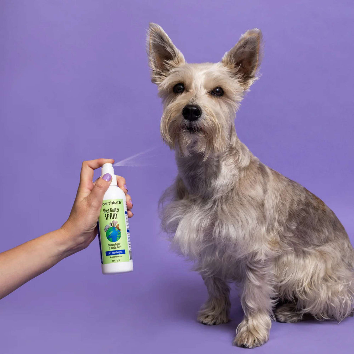 Earthbath Pet Shea Butter Spray Moisture & Dander Care