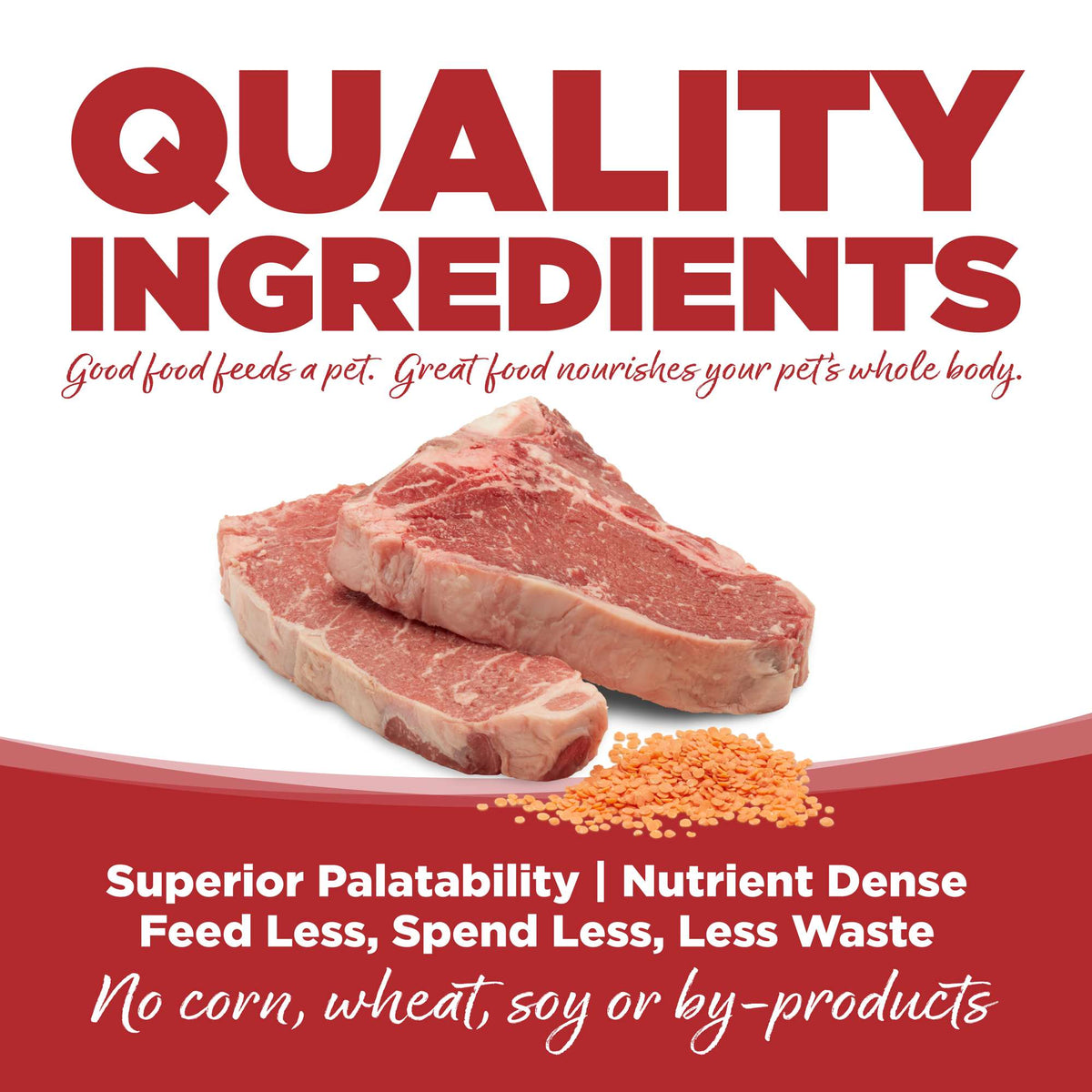 NutriSource PureVita Grain Free Beef &amp; Red Lentils Dog Food