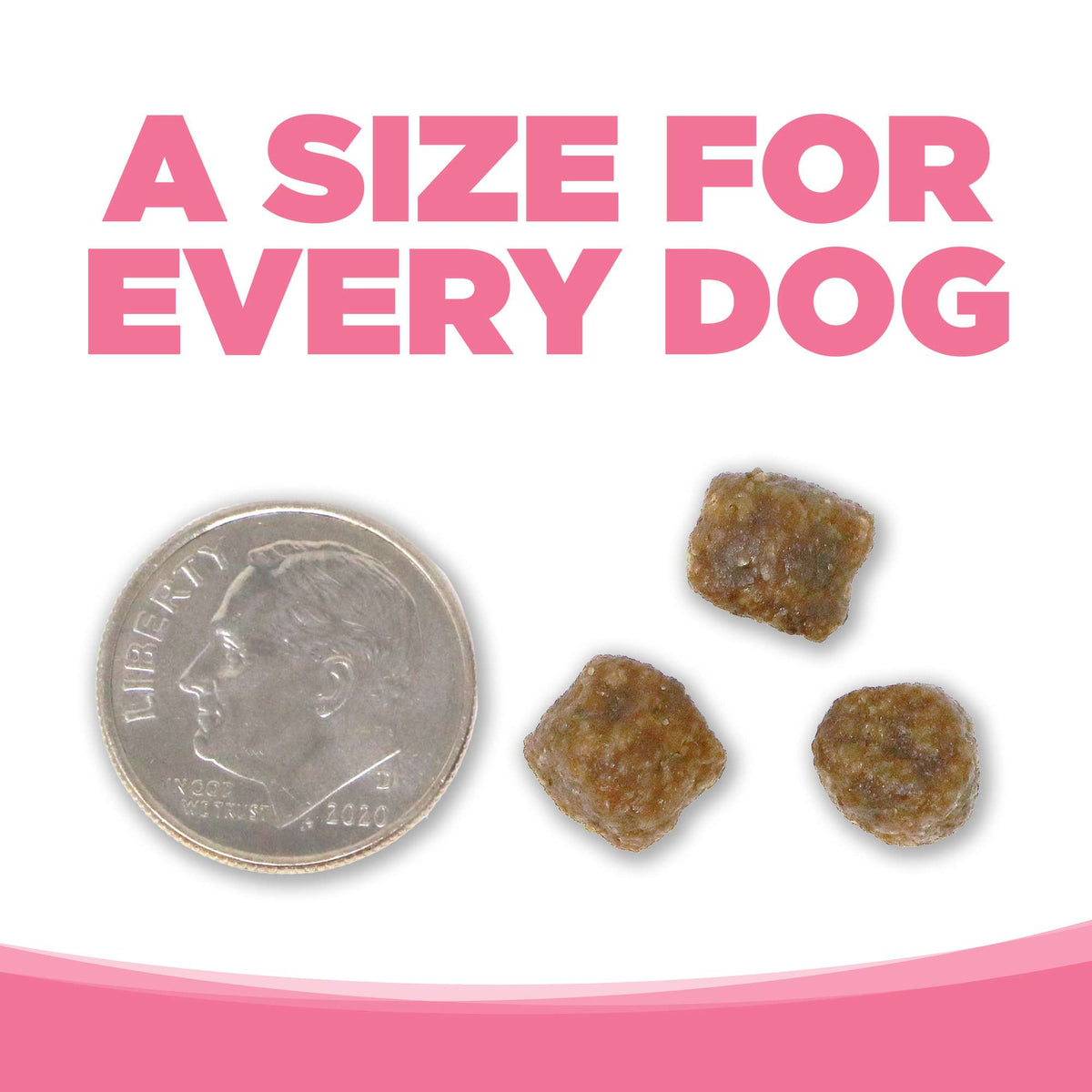 NutriSource PureVita Grain Free Small Bites Salmon &amp; Peas Dog Food