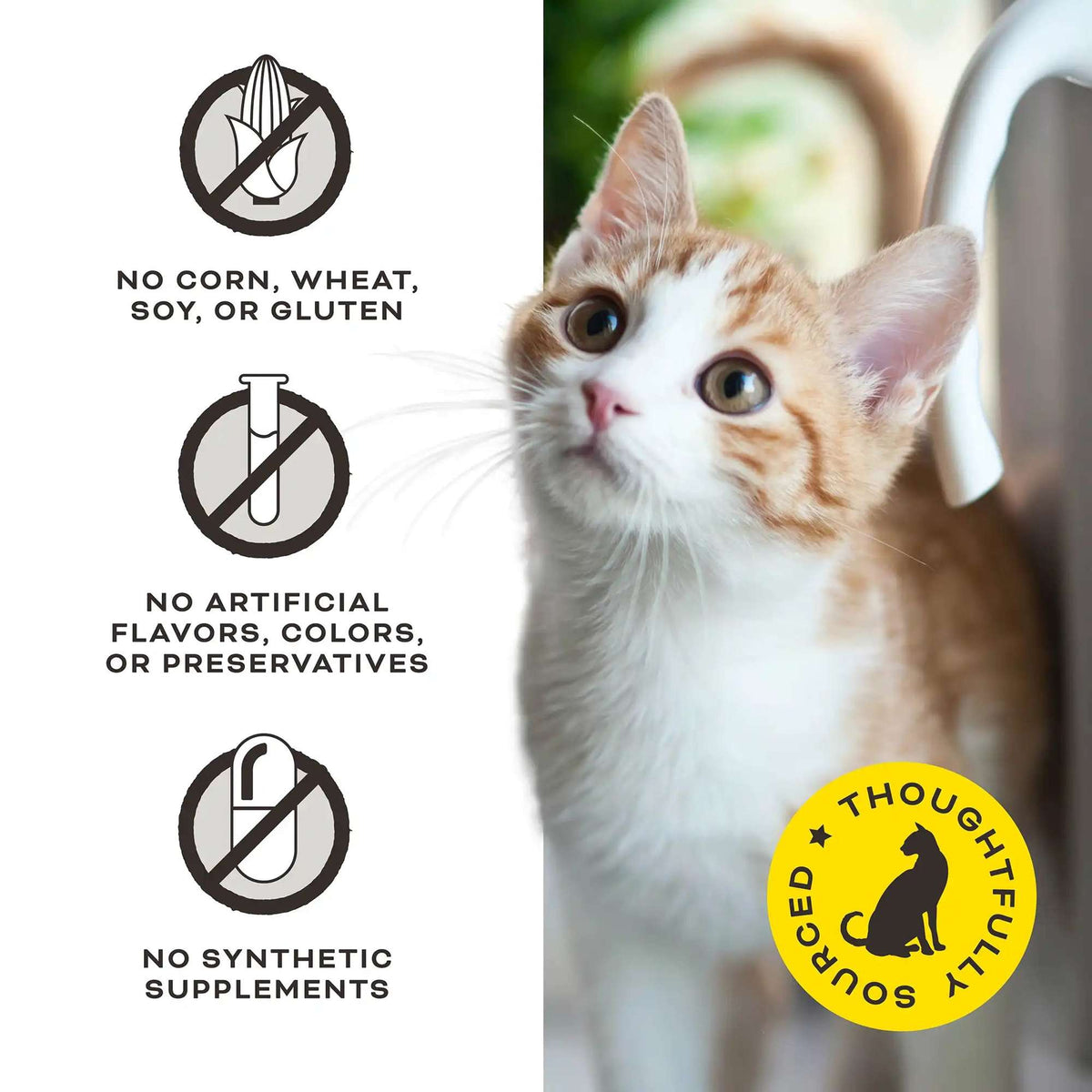 Primal Give Pieces a Chance! Chicken Jerky Cat Treats