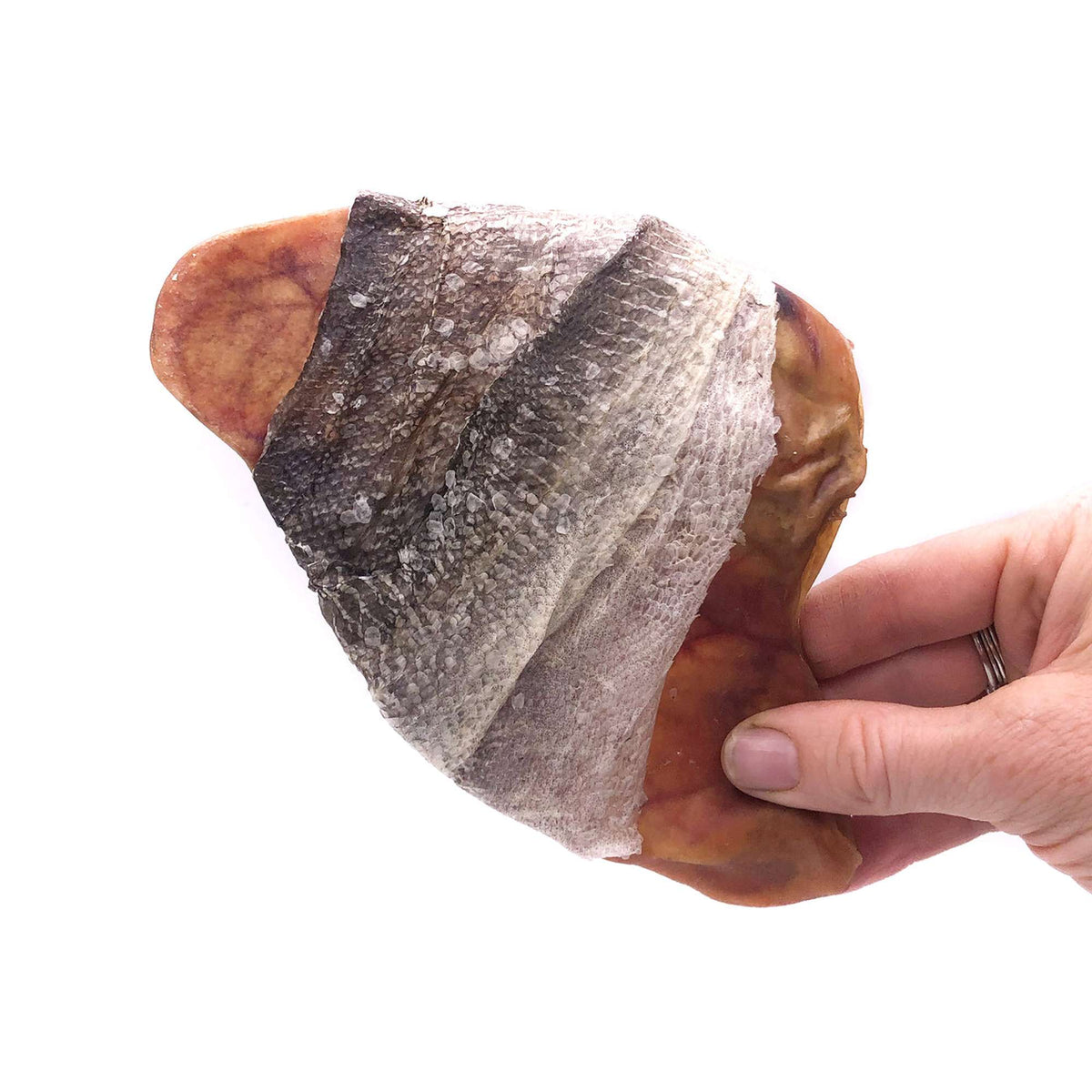 Icelandic+ Fish Ear Cod Skin Wrapped Pig Ear Dog Chews