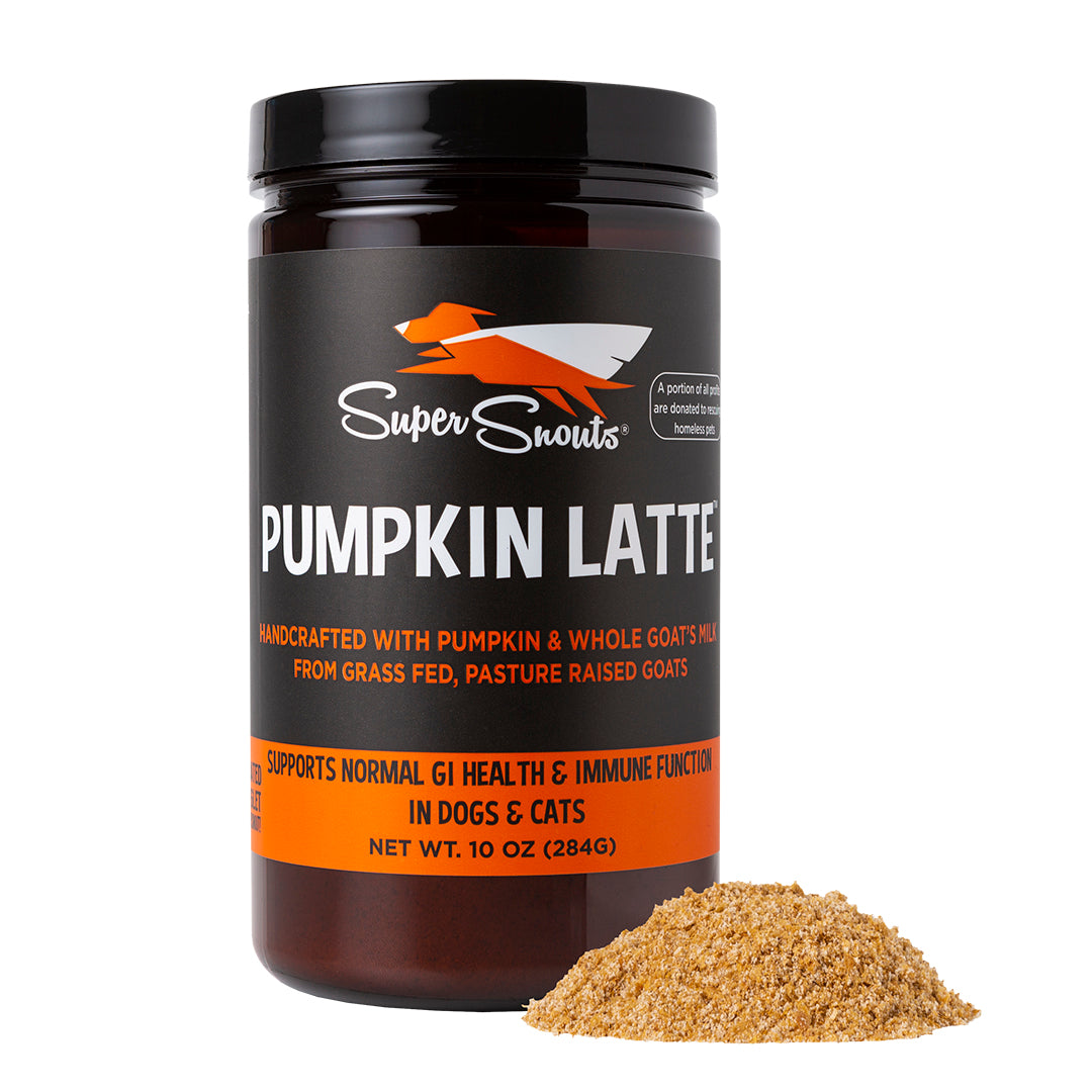 Super Snouts Pumpkin Latte Supplement for Dogs and Cats