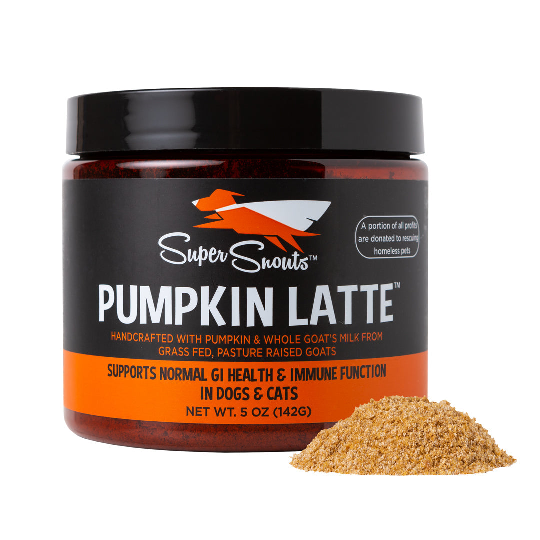 Super Snouts Pumpkin Latte Supplement for Dogs and Cats