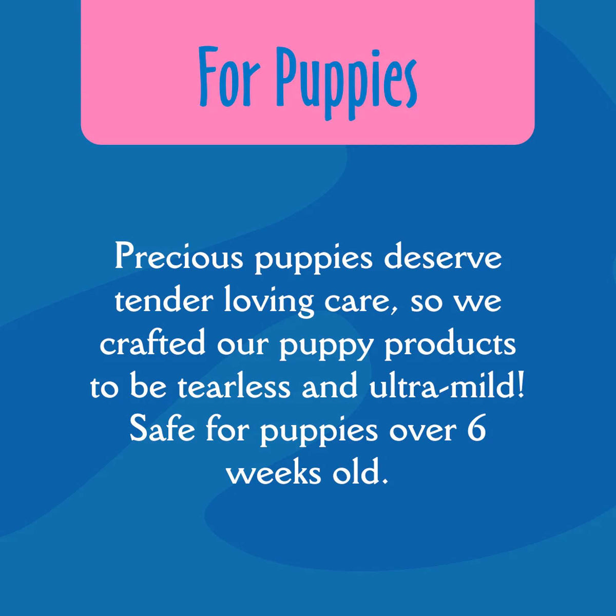 Earthbath Wild Cherry Puppy Spritz