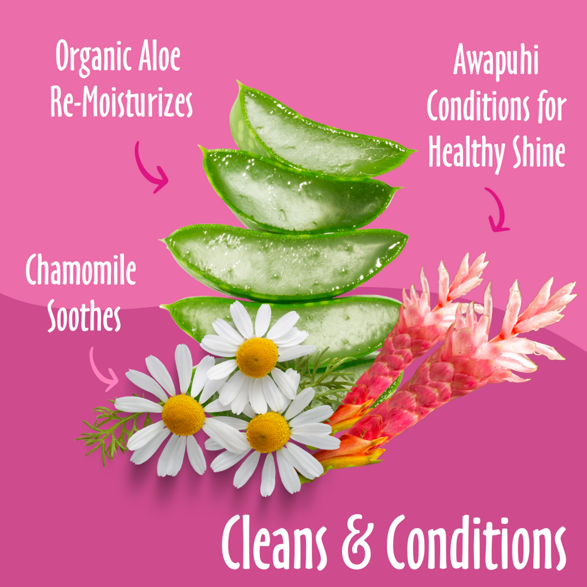 Earthbath Ultra-Mild Wild Cherry Puppy Wipes